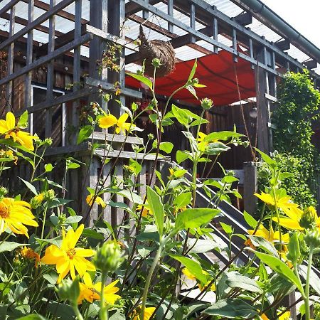 Burgheim Holzhaus Mit Gruener Aussicht Zum Erholenヴィラ エクステリア 写真