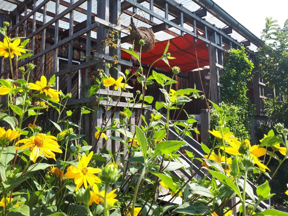 Burgheim Holzhaus Mit Gruener Aussicht Zum Erholenヴィラ エクステリア 写真